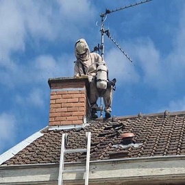 Professionnel nid de guêpes sur Valenciennes