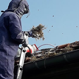 Désinsectisation d'une maison Orchies